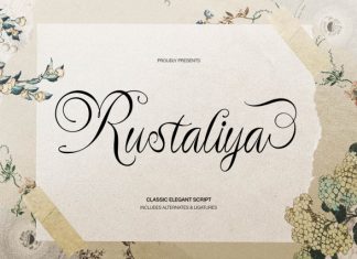 Rustaliya Classic Elegant Script Font preview image 1