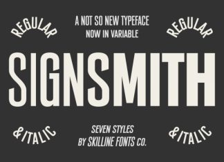 SFC Signsmith Variable Font preview image 1