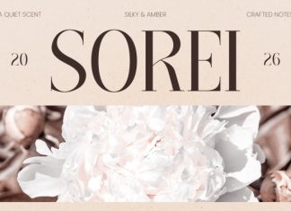 SOREI – Chic, Elegant & Luxury Serif Font preview image 1