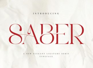 Saber – Elegant Serif Font preview image 1