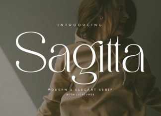 Sagitta – Modern Elegant Serif Font preview image 1