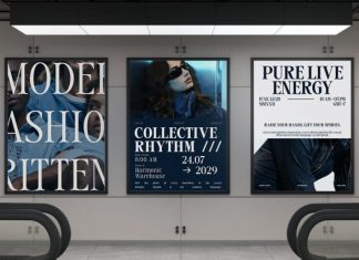 Saint Hardvest – High Contrast Editorial Serif Font preview image 3