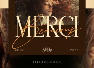 Saktere – Elegant Serif and Script Font preview image 2