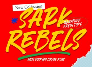 Sark Rebels – Display Brush Font preview image 1