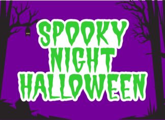 Scary Witch Font preview image 3