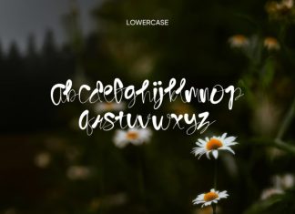 Scribzzy Font preview image 3