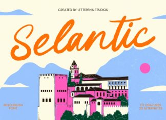 Selantic – Bold Brush Font preview image 1
