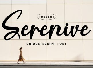 Serenive Script Font preview image 2