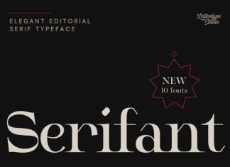 Serifant Font preview image 1