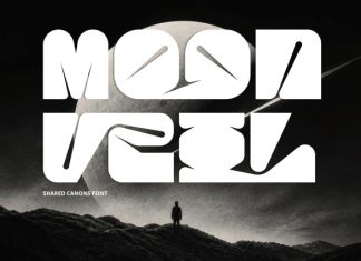 Shared Canons – Geometric Font preview image 2