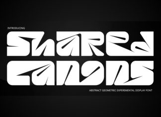 Shared Canons – Geometric Font preview image 1