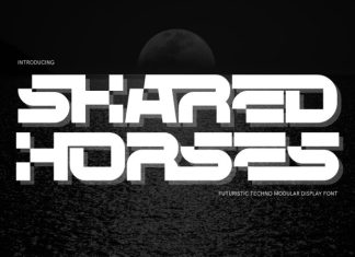 Shared Horses – Cyber Display Font preview image 1