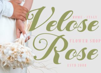 Sheryna Romantic Script Font preview image 3