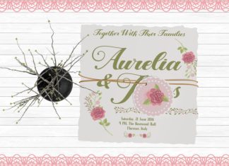 Sheryna Romantic Script Font preview image 2