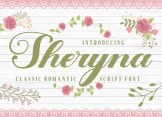 Sheryna Romantic Script Font preview image 1