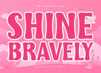 Shine Bravely Font preview image 1