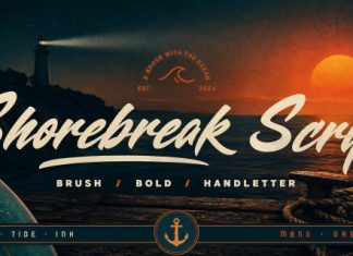 Shorebreak Script Font preview image 1