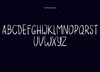 Silk Line Handwritten Font preview image 3