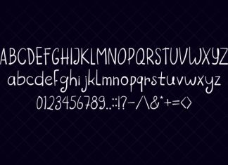 Silk Line Handwritten Font preview image 2