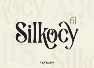 Silkocy – Serif Font preview image 1