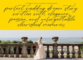 Silky Crystal – Elegant Handwritten Script Font preview image 3