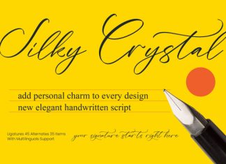 Silky Crystal – Elegant Handwritten Script Font preview image 1