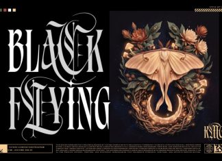 Silver Shard Font preview image 2