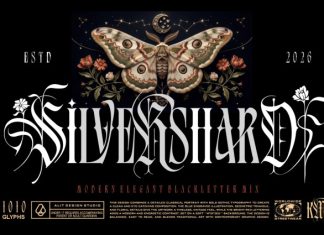 Silver Shard Font preview image 1