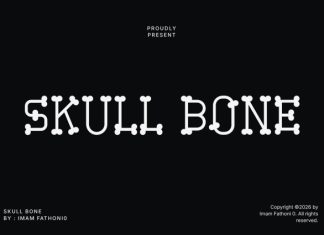 Skull Bone Font preview image 1