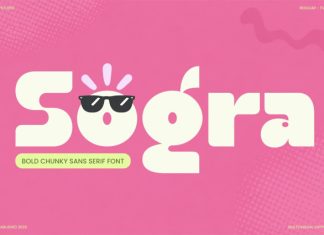 Sogra – Bold Food Packaging Font preview image 1