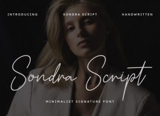 Sondra Script Font preview image 1