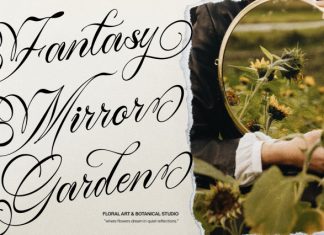 Song Camysa Classic Elegant Script Font preview image 2
