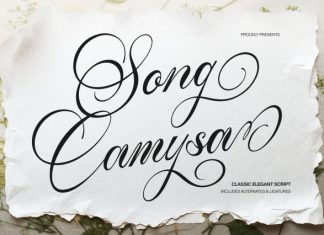 Song Camysa Classic Elegant Script Font preview image 1