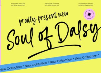 Soul Dalsy – Handwritten Script Font preview image 1