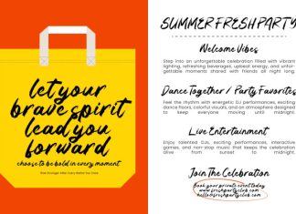 Sound Seekers Rough Brush Script Font preview image 1