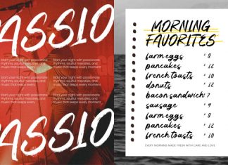 Sound Seekers Rough Brush Script Font preview image 2