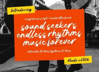 Sound Seekers Rough Brush Script Font preview image 3