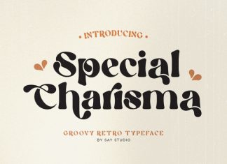 Special Charisma Font preview image 1