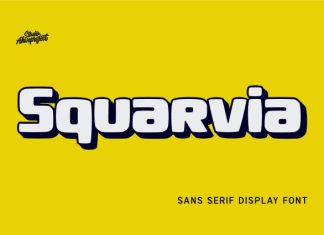 Squarvia Font preview image 1