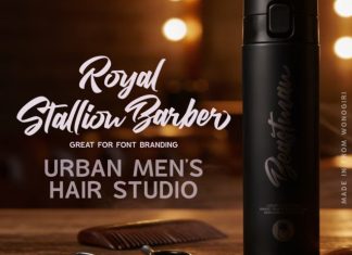 Stallion Magicshow Font preview image 3