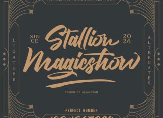 Stallion Magicshow Font preview image 1