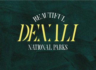 Starlikes – Serif Typeface Font preview image 2