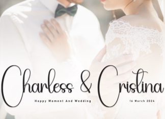 Stylis Font preview image 2
