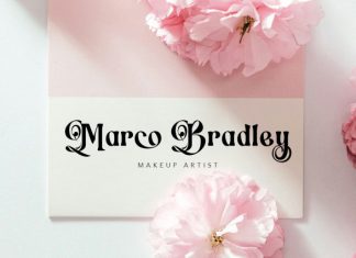 Switella – Modern Decorative Font preview image 2