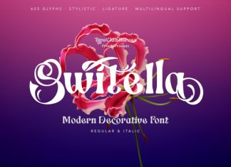 Switella – Modern Decorative Font preview image 1