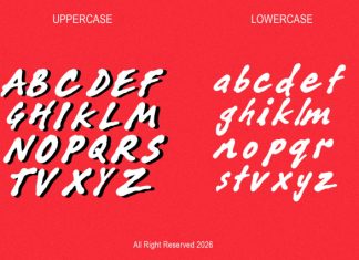 SYABI DISPLAY FONT preview image 2
