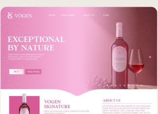 TBJ Pros Vogen Luxury Modern Serif Font preview image 3