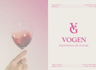 TBJ Pros Vogen Luxury Modern Serif Font preview image 2