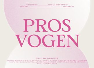 TBJ Pros Vogen Luxury Modern Serif Font preview image 1