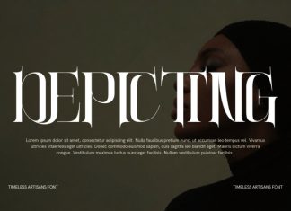 TIMELESS ARTISANS – LUXURY SERIF FONT preview image 3